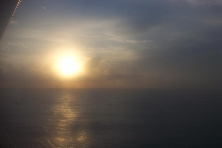 In the sea5.JPG